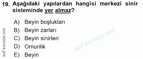 Soru 19