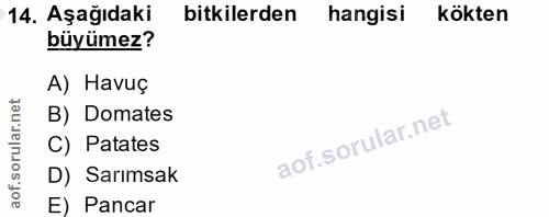 Soru 14