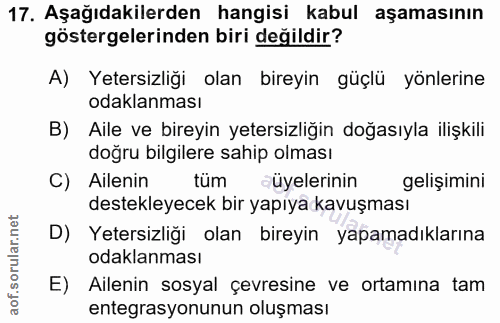 Soru 17
