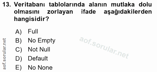 Soru 13