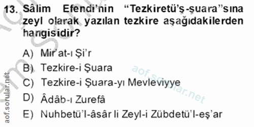 Soru 13