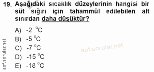 Soru 19