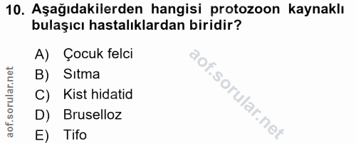 Soru 10