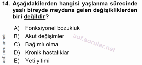 Soru 14