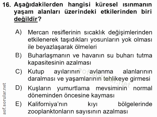 Soru 16