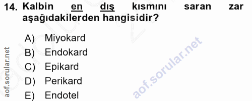 Soru 14