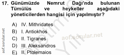 Soru 17
