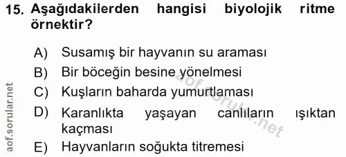 Soru 15