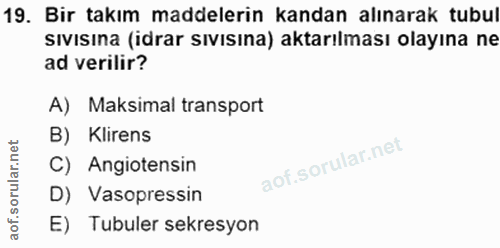 Soru 19