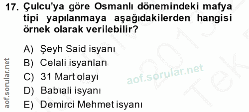 Soru 17
