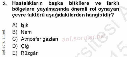 Soru 3
