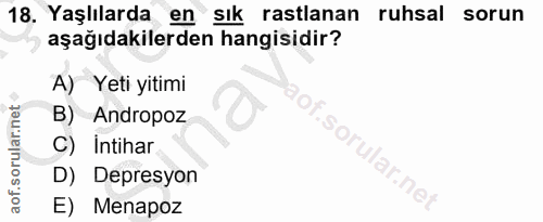 Soru 18