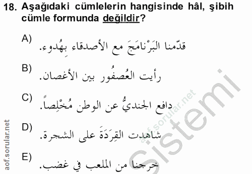 Soru 18