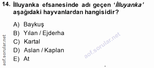 Soru 14