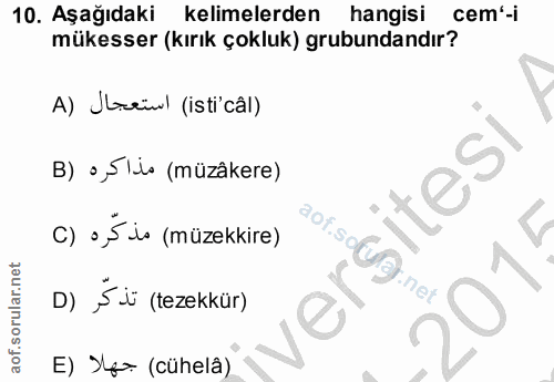 Soru 10