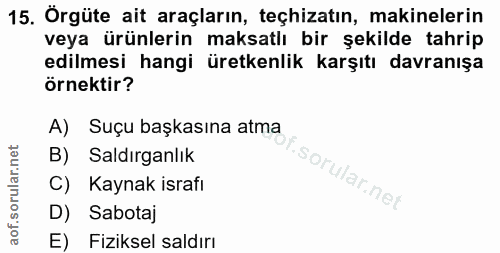 Soru 15