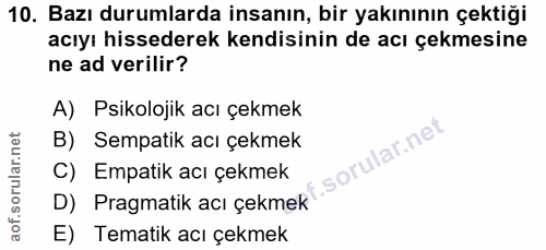 Soru 10