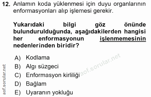 Soru 12