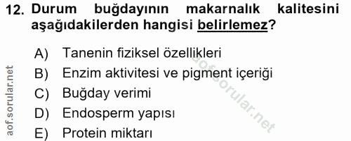 Soru 12