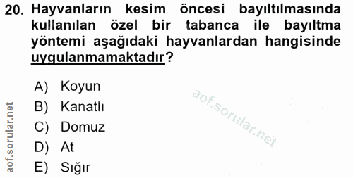 Soru 20
