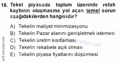 Soru 18