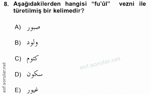 Soru 8