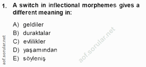 Soru 1