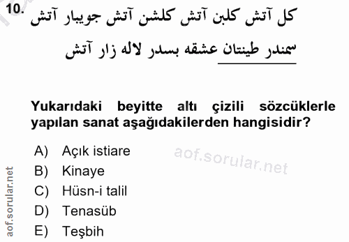 Soru 10