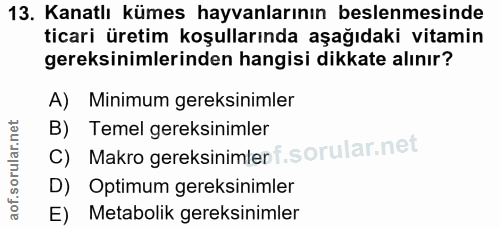 Soru 13