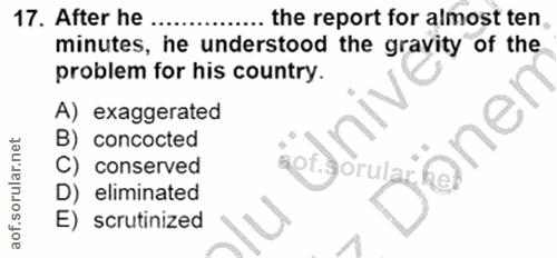Soru 17