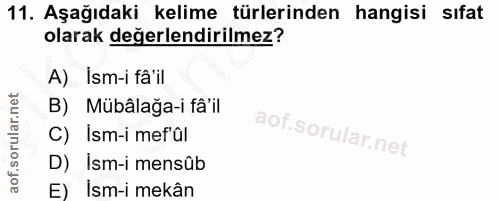 Soru 11