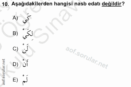 Soru 10