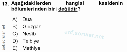 Soru 13