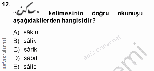 Soru 12