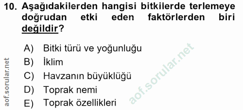Soru 10