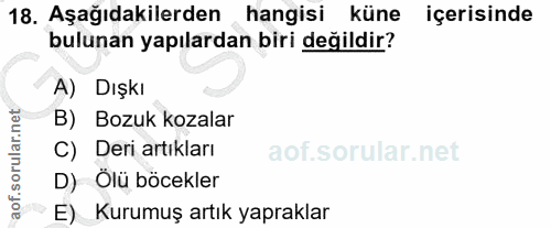Soru 18