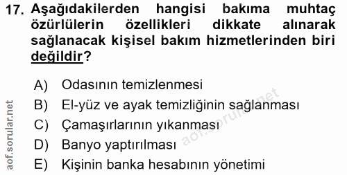 Soru 17