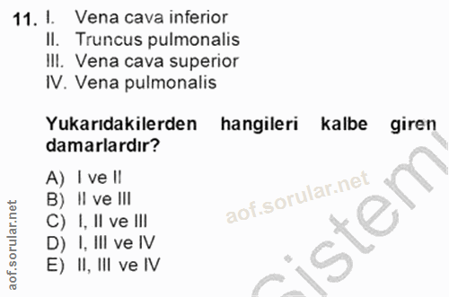 Soru 11