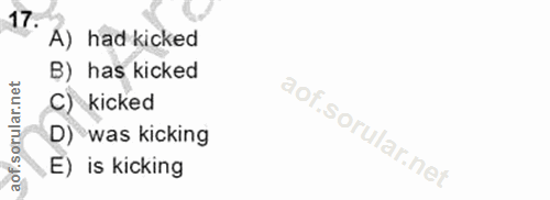 Soru 17