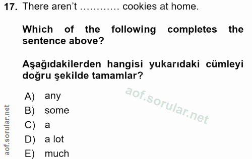 Soru 17