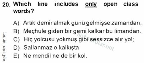 Soru 20