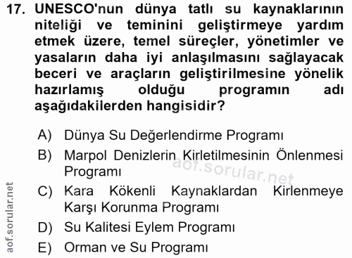 Soru 17