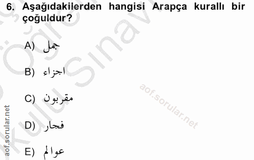 Soru 6