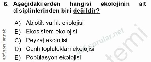 Soru 6