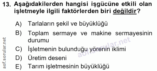 Soru 13