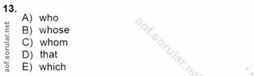 Soru 13