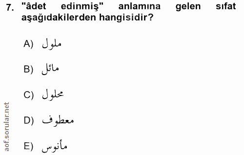 Soru 7