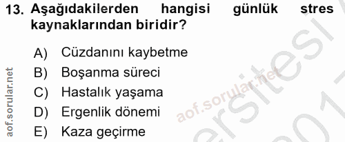 Soru 13