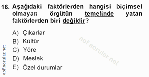 Soru 16