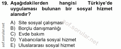Soru 19
